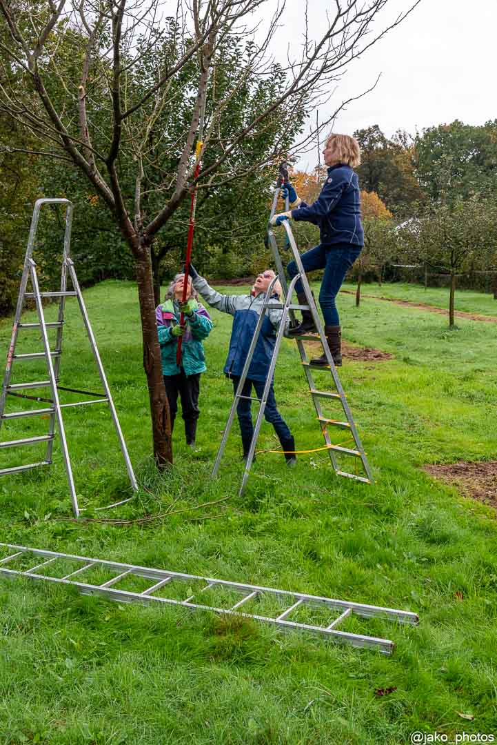 2023 10 28 werkochtend3