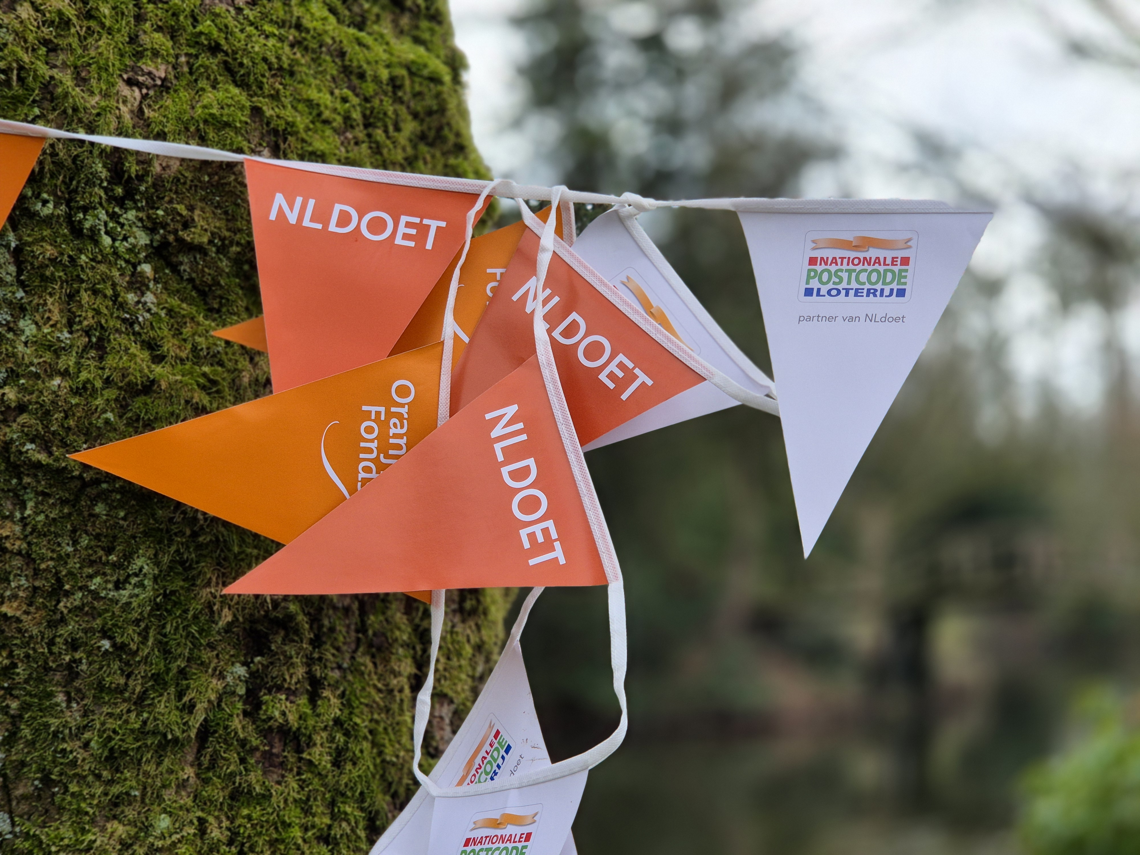 2026 03 14 NL doet vlaggetjes