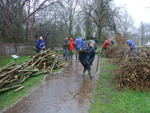 Nieuws 25 bomen1