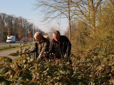 nieuws NLDoet 2016