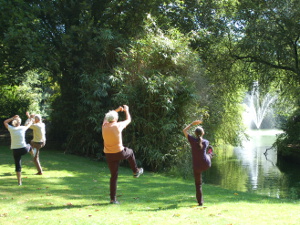 Tai chi Boetzelaerpark1