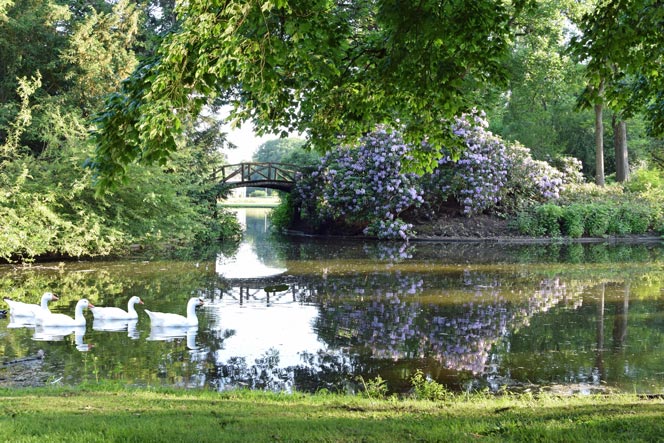 20170610 bruggetje in avondzon