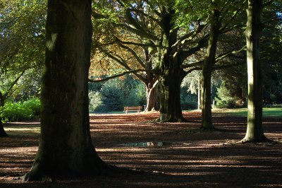 Herfst 2016 Boetzelaerpark 1