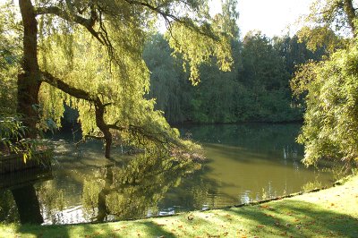 Herfst 2016 Boetzelaerpark 2