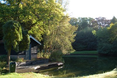 Herfst 2016 Boetzelaerpark 4