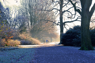 20161204 Boetzelaerpark winterse taferelen 1