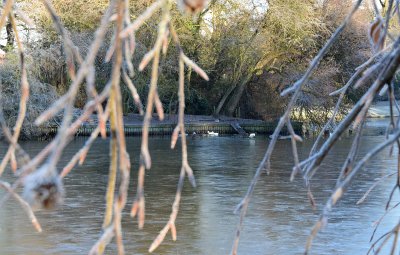 20161204 Boetzelaerpark bevroren vijver