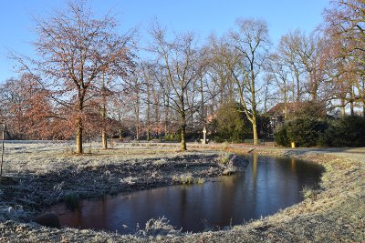 20161204 Boetzelaerpark winterse taferelen 8