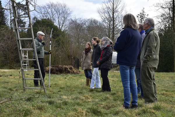 20180304 Fruitbomen snoeien 2