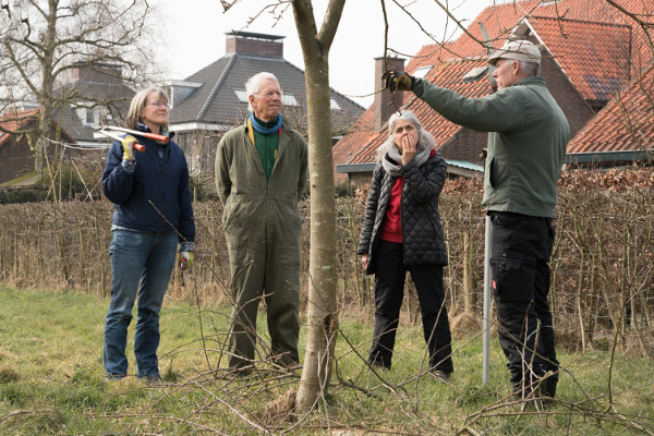 20180304 Fruitbomen snoeien 4