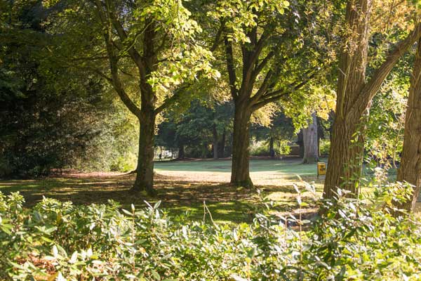 Park in overgang van zomer naar herfst