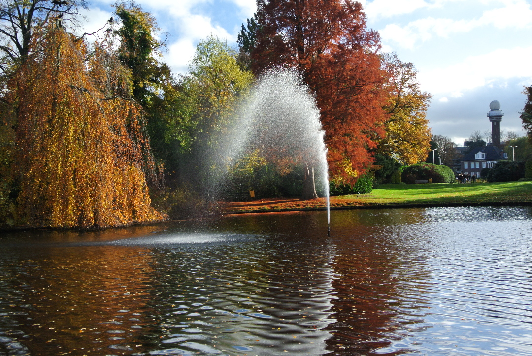 Van Boetzelaerpark in herfstkleuren (2)