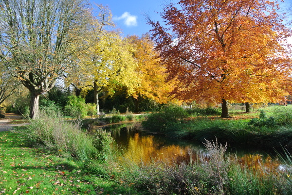 Van Boetzelaerpark in herstkleuren