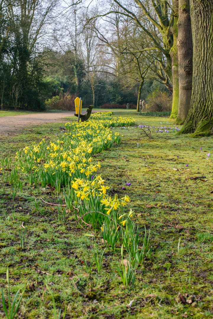 20190421 werkochtend