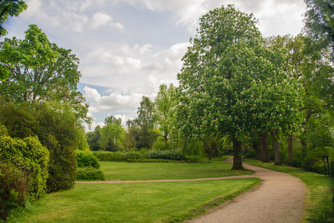 werkochtend 25 mei
