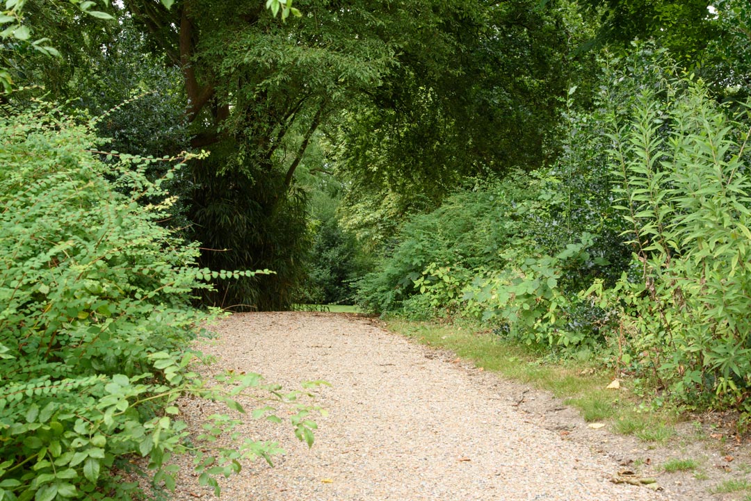 Paden verhard in Van Boetzelaerpark (2)