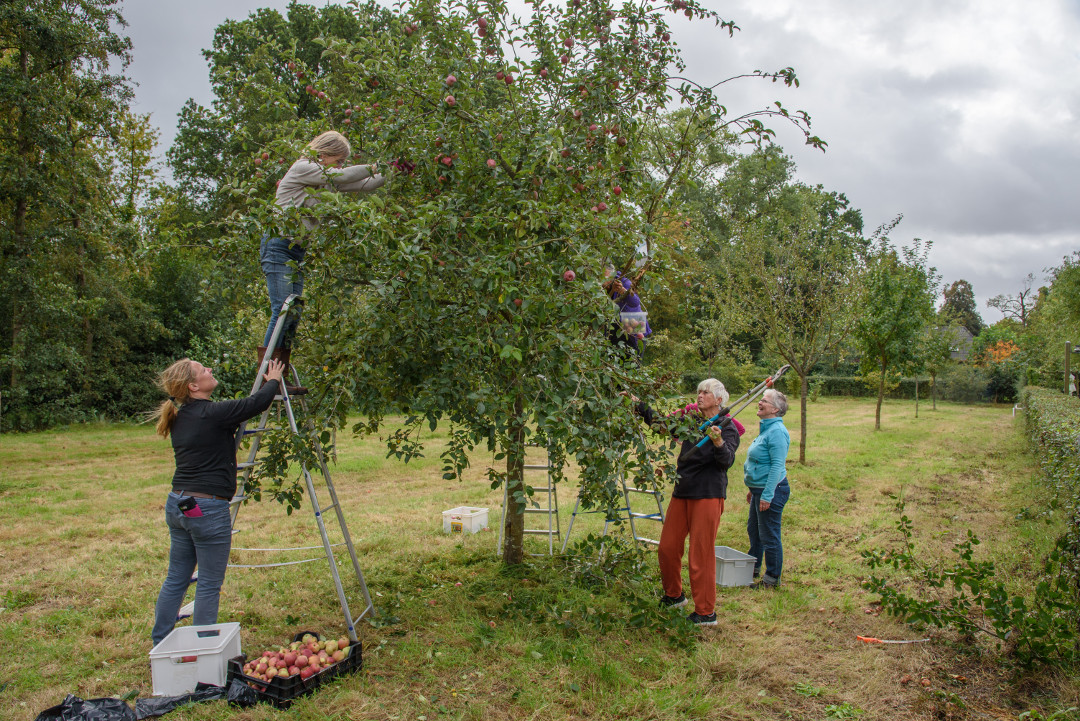 20190928 werkochtend 4