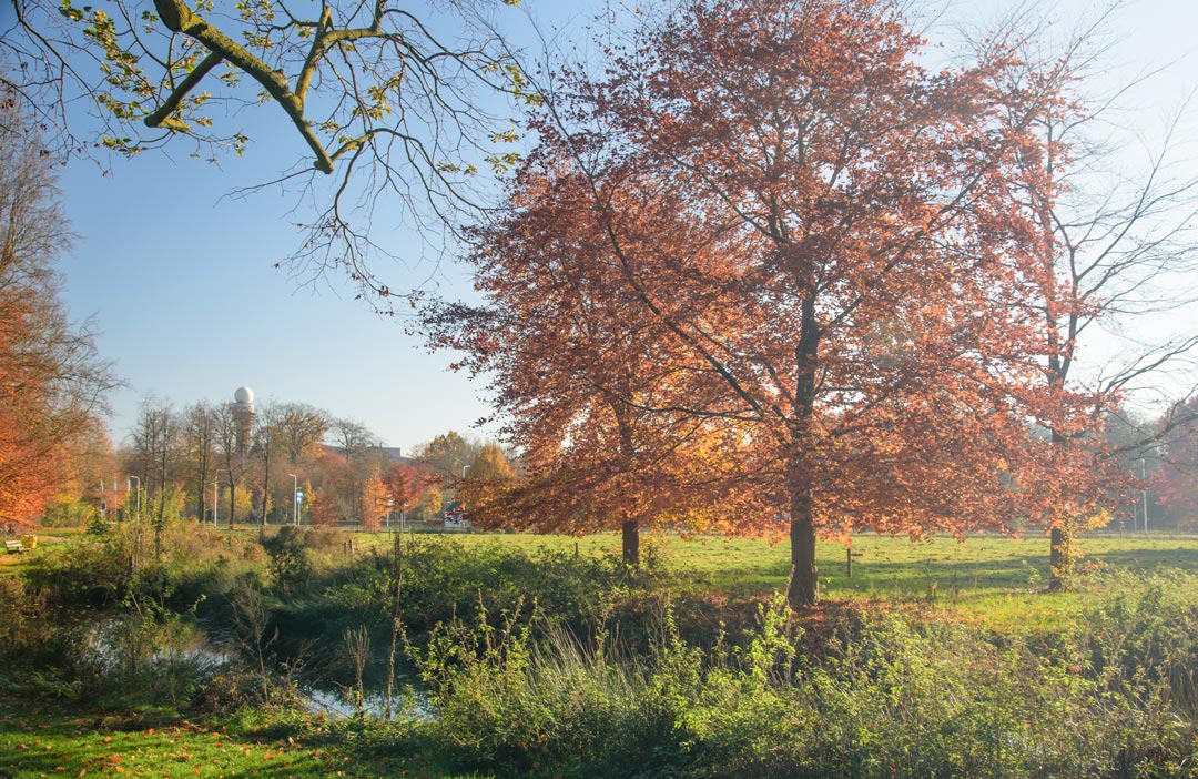 20191026 werkochtend