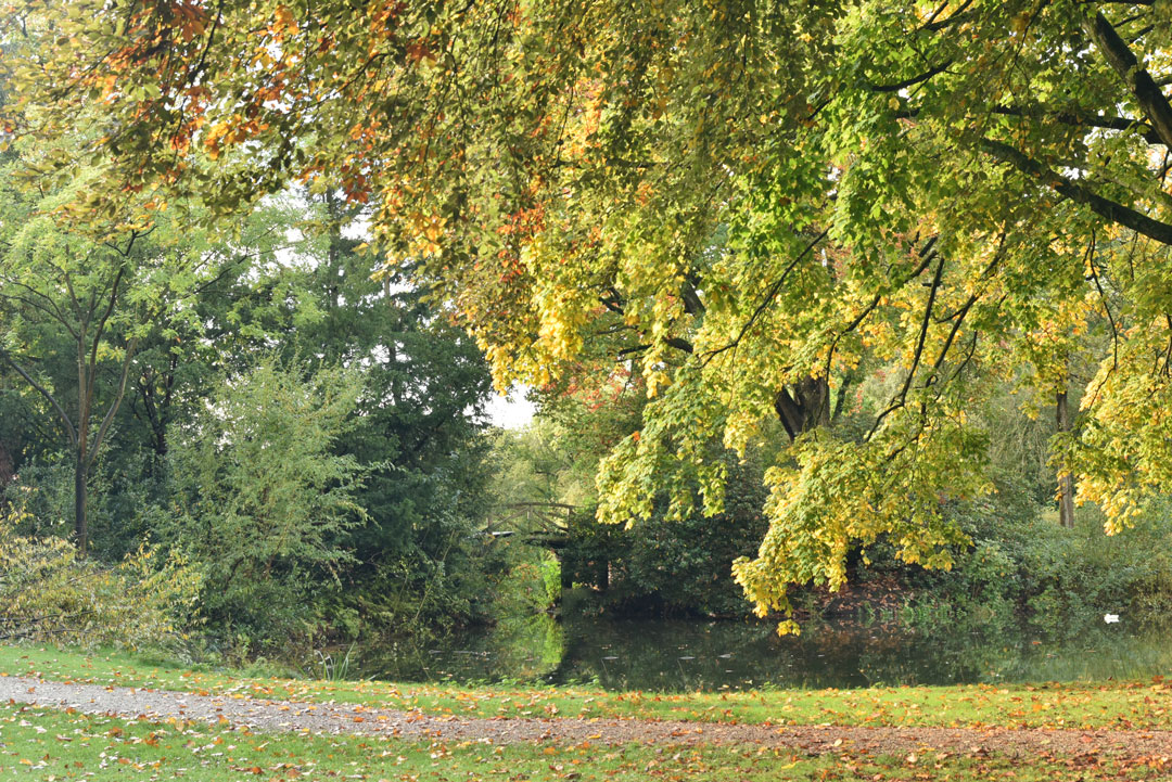 Park in herfstkleuren 2