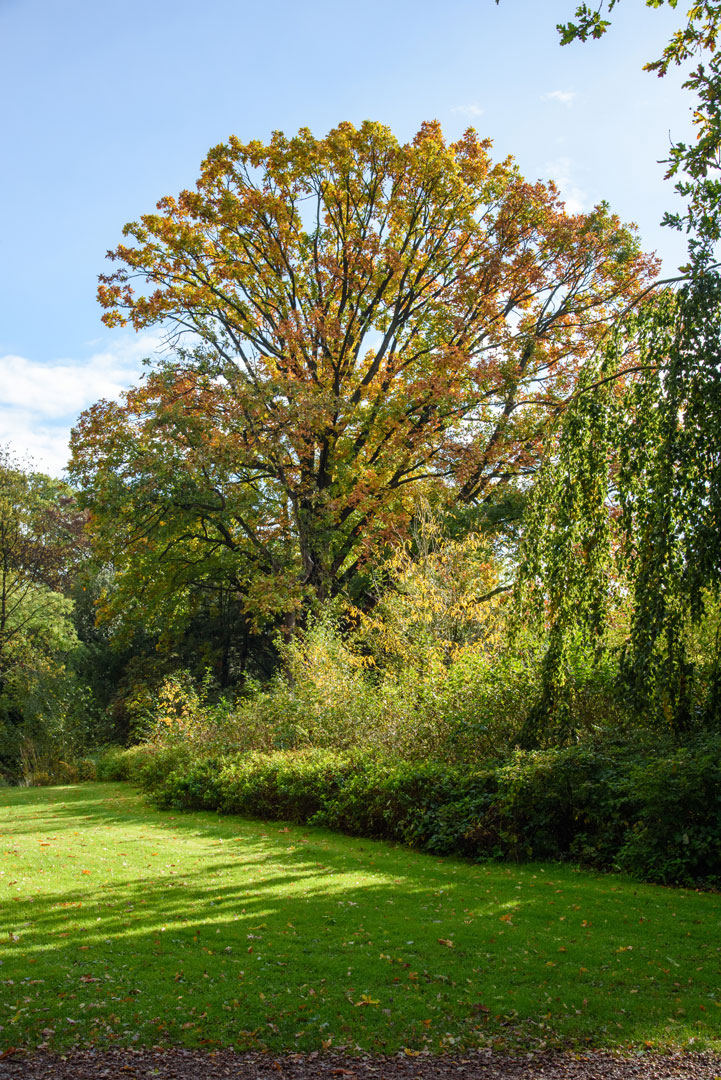 Park in herfstkleuren 3