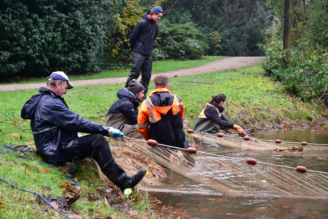 Vangen vissen vijver Van Boetzelaerpark1