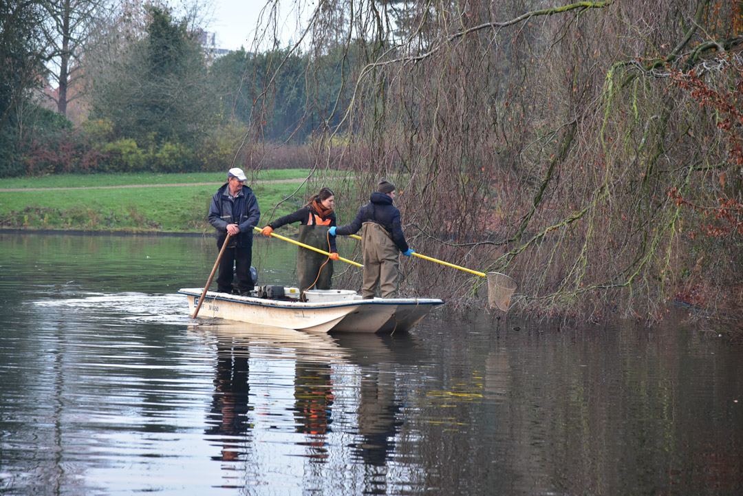 Vangen vissen vijver Van Boetzelaerpark5