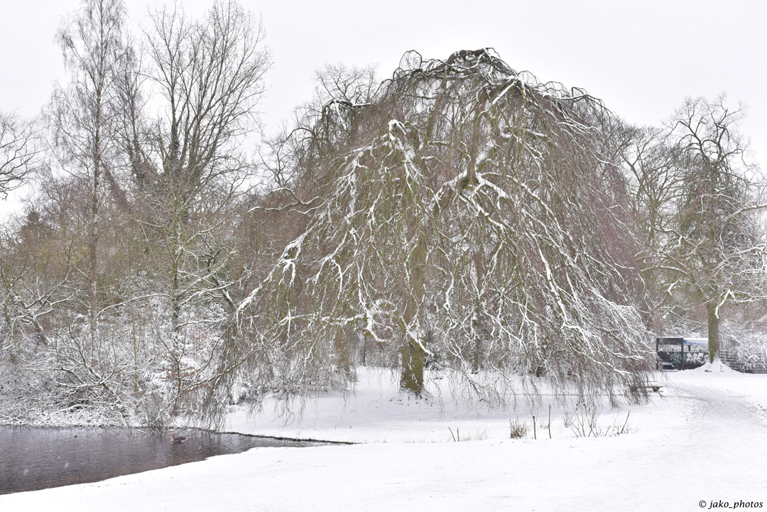 Sneeuwpret (7)