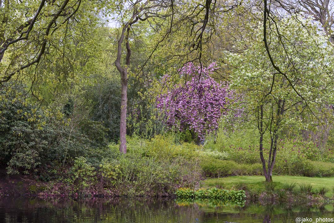 Lente laat zich zien in het park