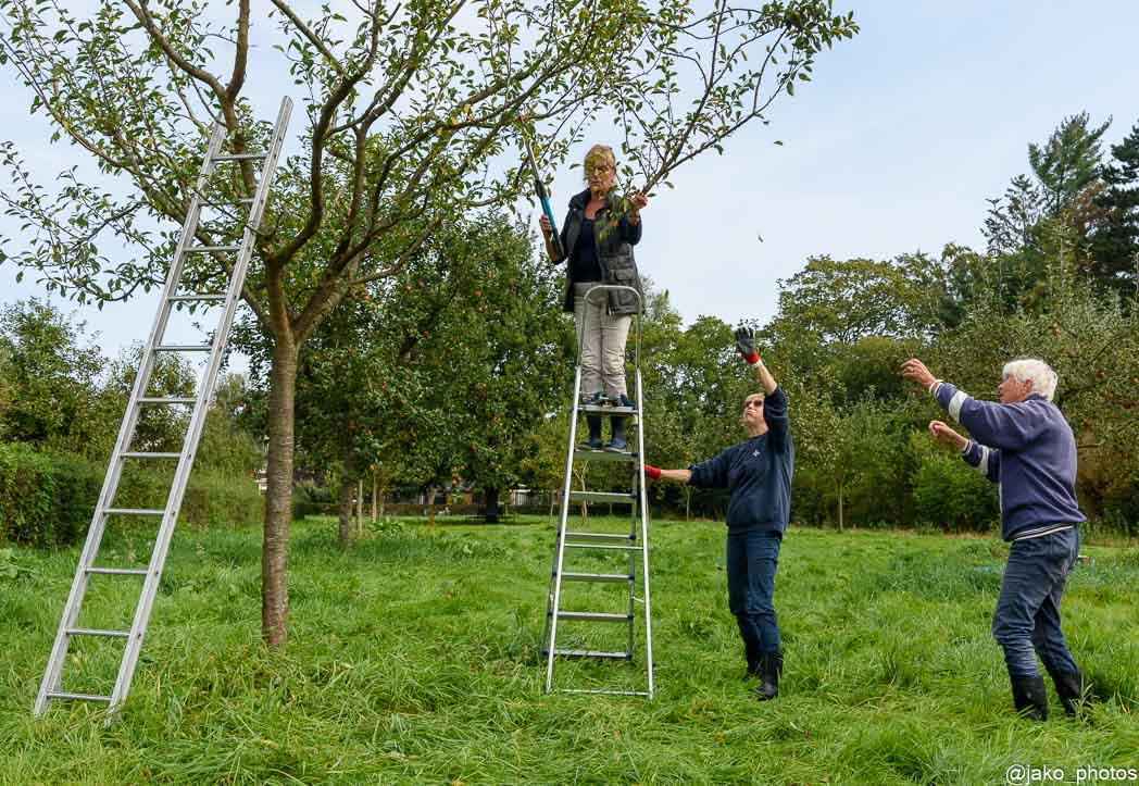 20210918 plukochtend 2