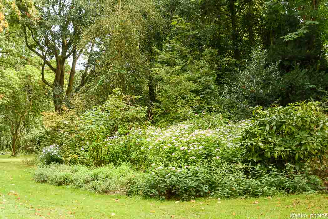 Plantvak