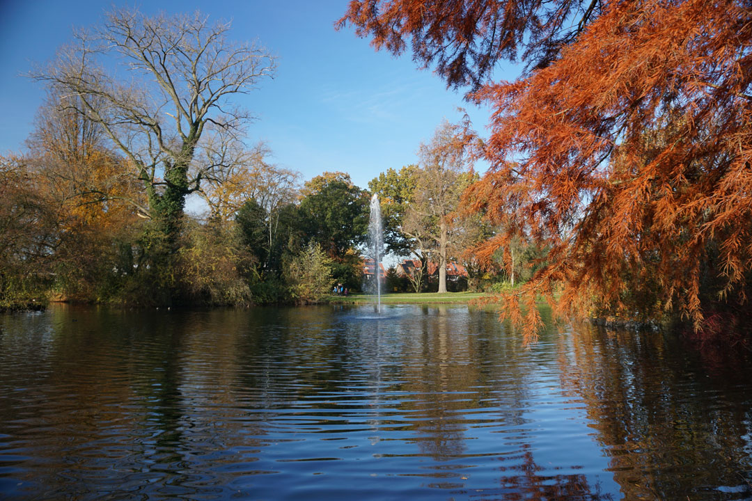 Van Boetzelaerpark in herfstkleuren