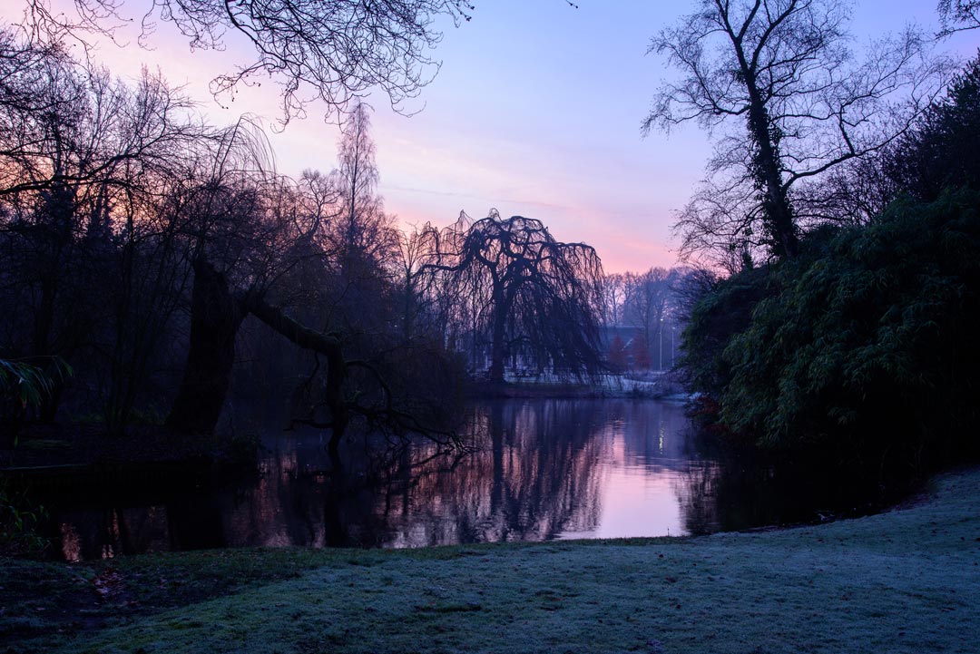 Boetzelaerpark op winterse ochtend