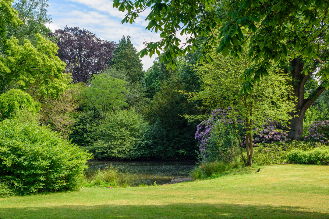 Foto van het Van Boetzelaerpark