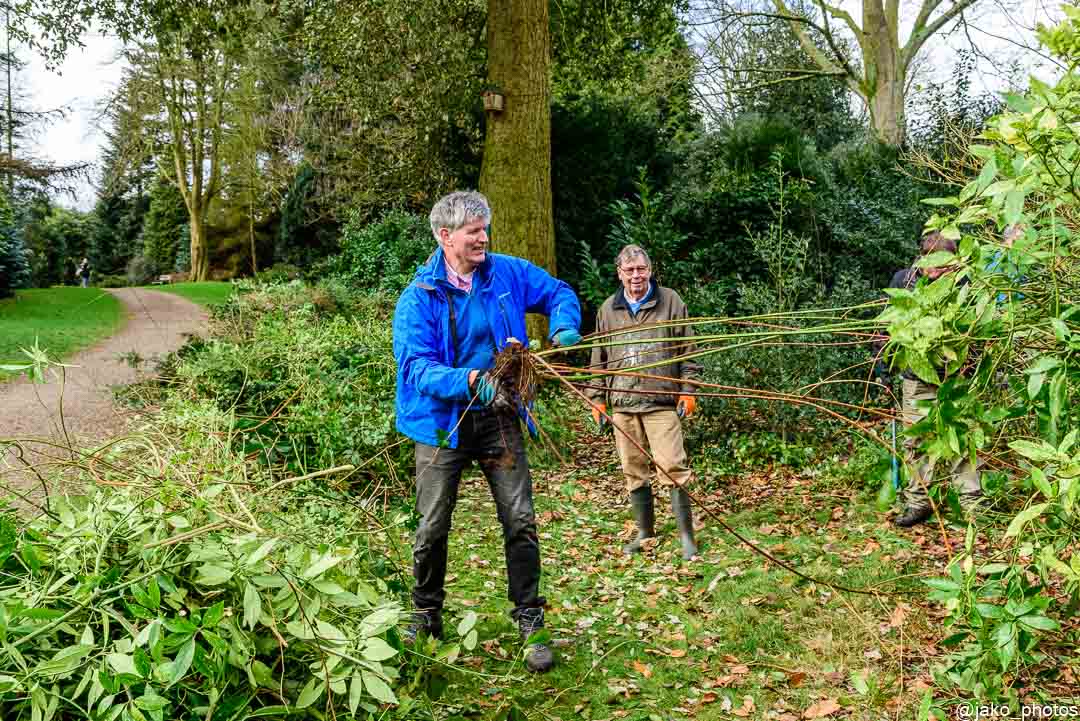 Werkochtend 29 januari 2022 (twee)