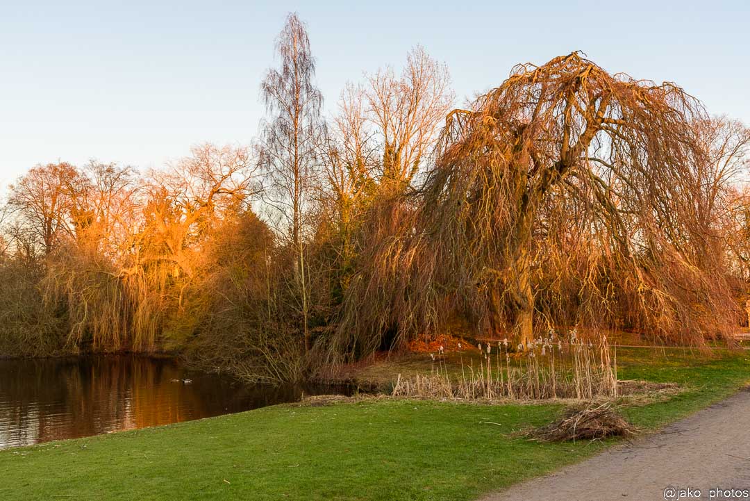 werkochtend 25 februari