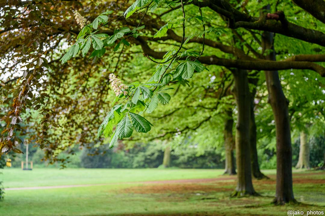 park in lentesfeer
