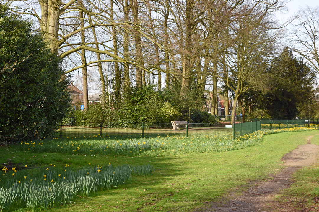 Hondenuitlaatplek Boetzelaerpark DSC 1458 bewerkt 1