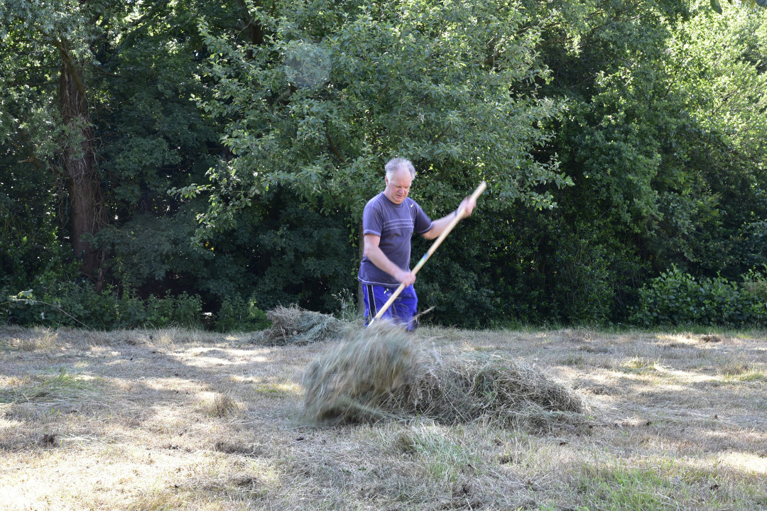 werkochtend 29 juni 2019