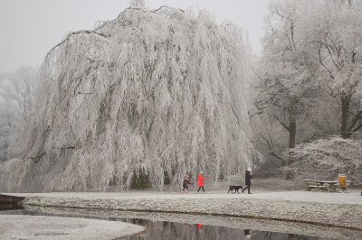 Van Boetzelaerpark in winterse sferen