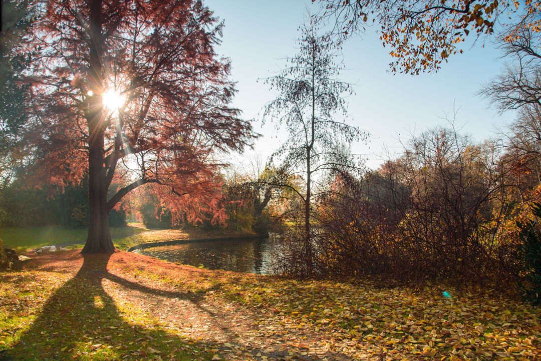 voorbeeld van doorkijkjes